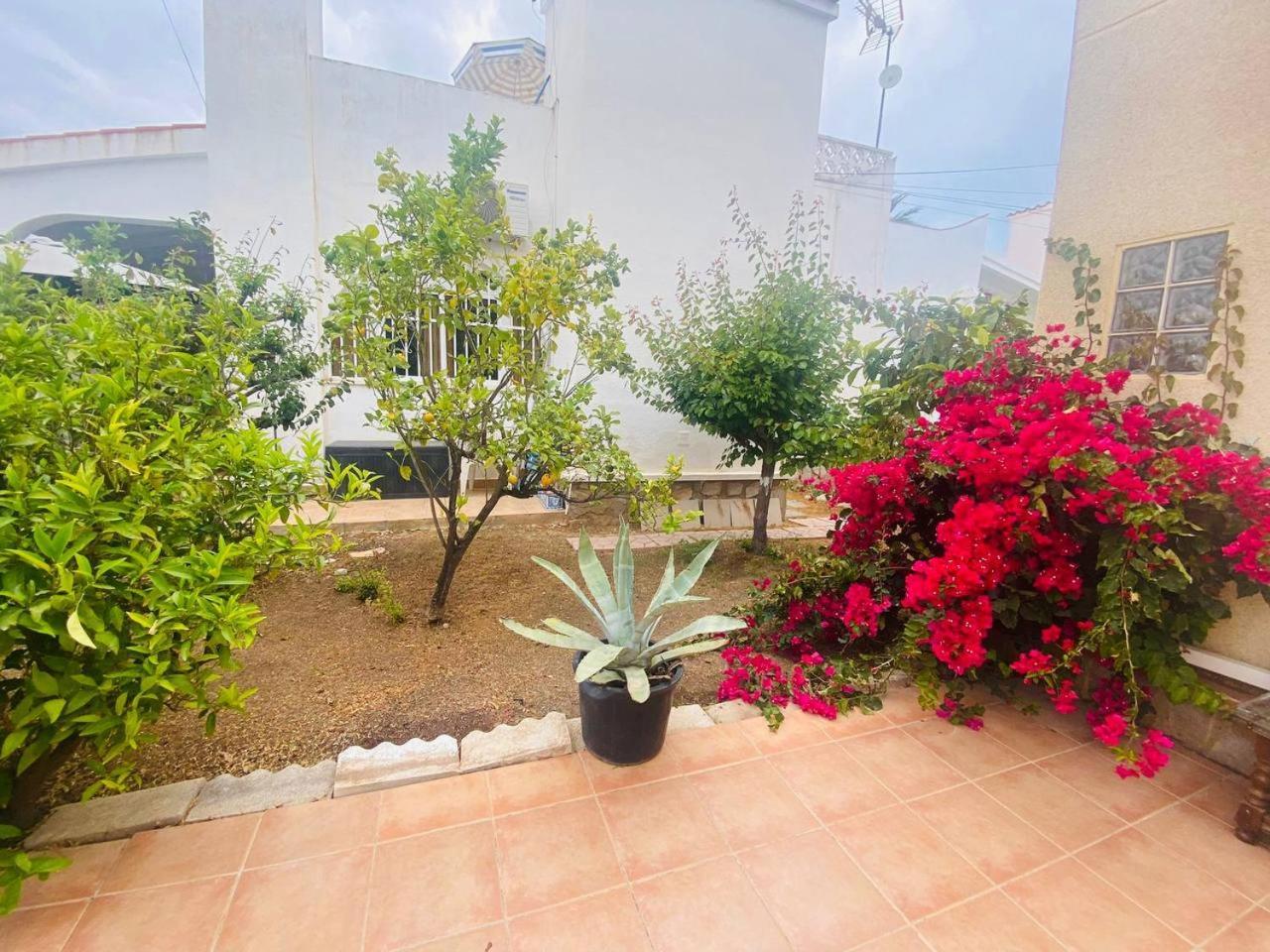 Villa Sunset Orihuela Costa المظهر الخارجي الصورة